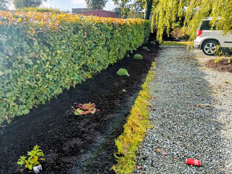 Lawn-Care-and-hedge-cutting-wexford-optimized